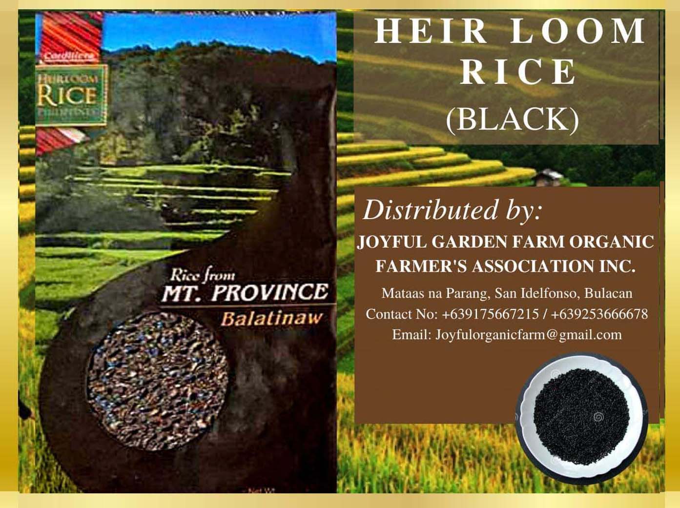 Healthy Grains - Heirloom Black Rice
