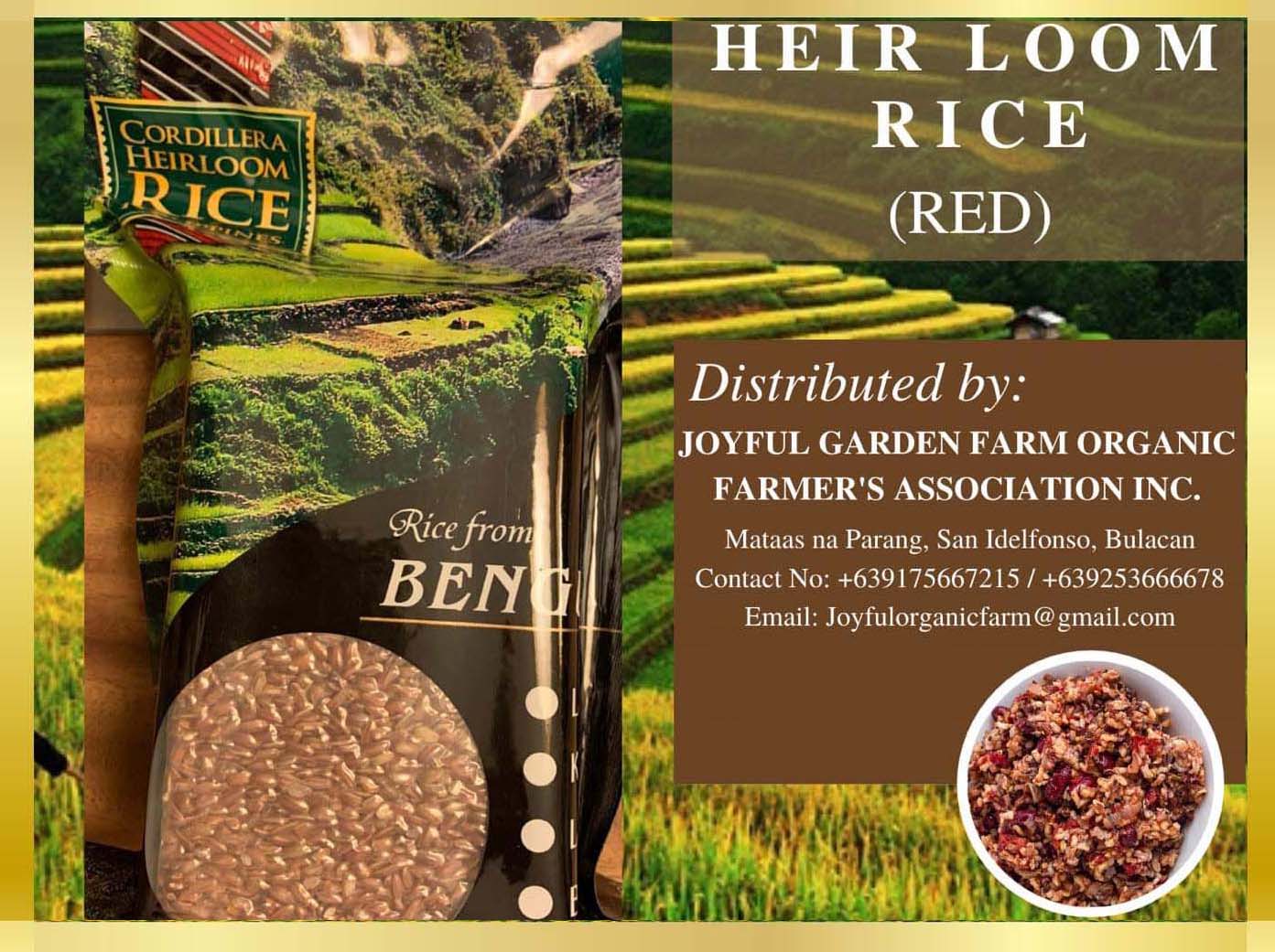 Healthy Grains - Heirloom Red Rice 